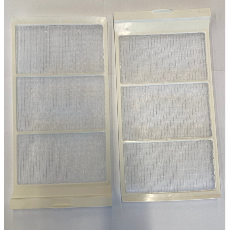 Carrier Air Conditioner Filter, Set of 2