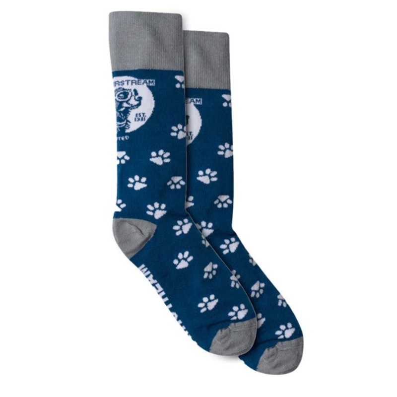 Airstream Dog with Goggles Socks