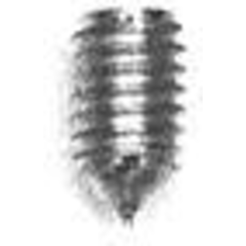 5mm Nickel, 1.5m Allen Wrench Set Screw, Steel-PK10, #P-1493-5MM-NIC