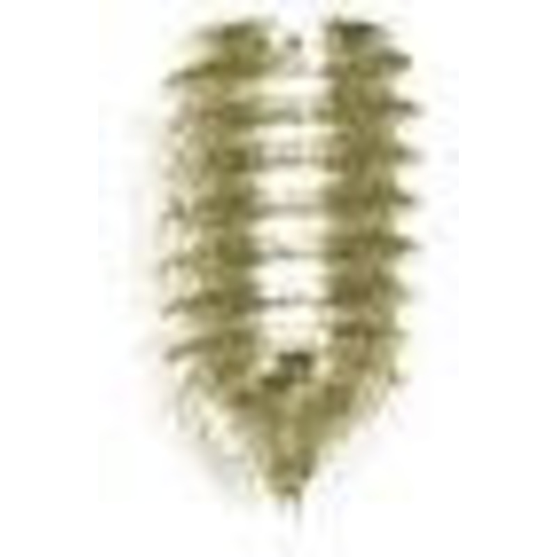 5mm Gold, 1.5m Allen Wrench Set Screw, Steel-PK10, #P-1493-5MM-GOLD