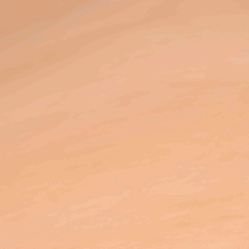 CHAHINLEATHER Veg-Tan Leather Panel