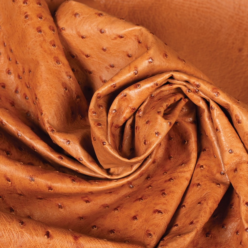 Ostrich Leather|Brandy|Cognac|Flame Red|Kango Tobac|Whole Hide