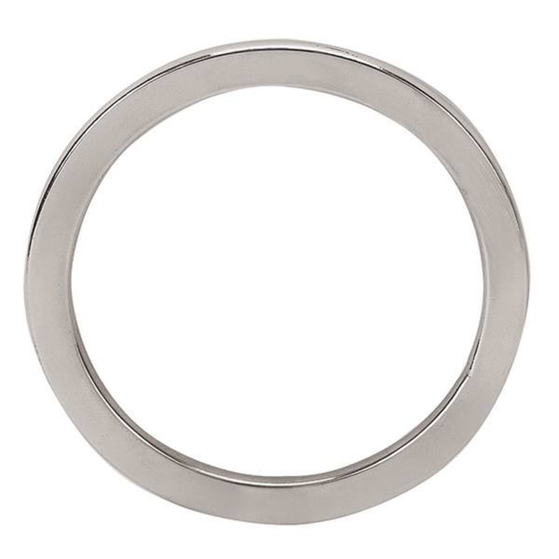 Flat Ring Stainless Steel, 3-1/2