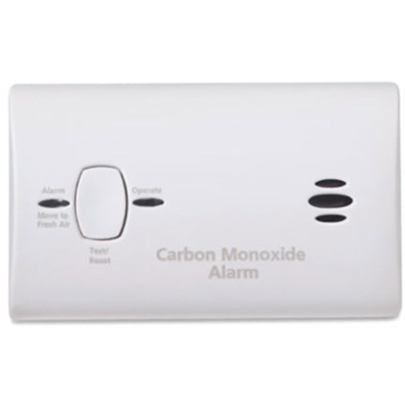 CARBON MONOXIDE ALARM BATTERY WT