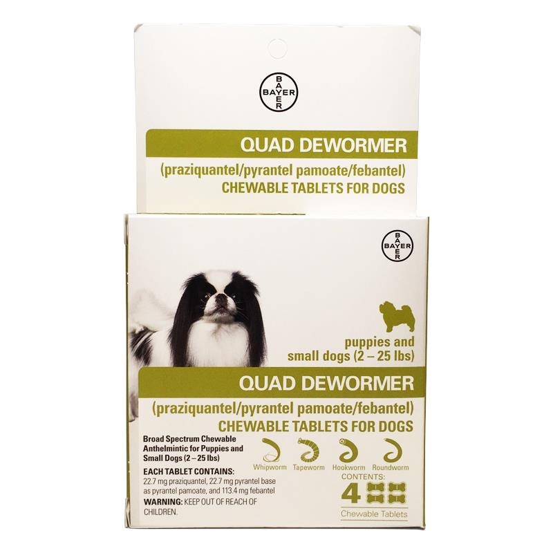 Bayer Quad Dewormer|Small|Medium