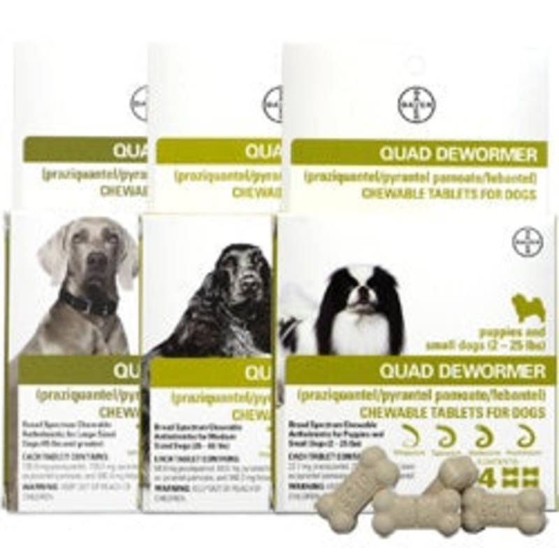 Bayer Quad Dewormer Tablets Dog