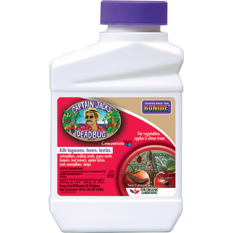 BONIDE CAPTAIN JACK ‘S DEADBUG BREW CONCENTRATE 1PT