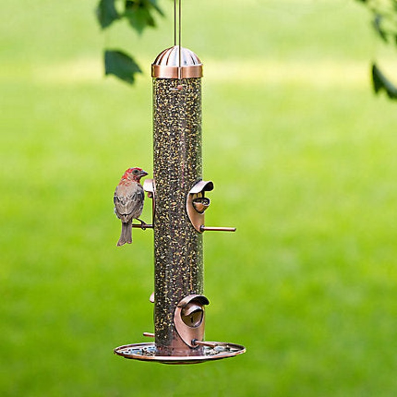 Perky-Pet Copper Finish 2-in-1 Wild Bird Feeder – 1.8 lb Seed Capacity