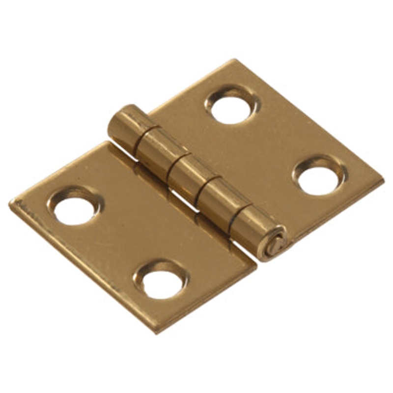 1  SOLID BRASS BROAD HINGE