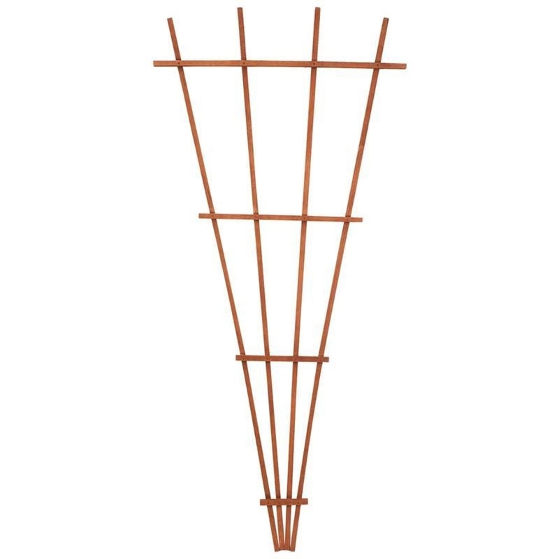 WOOD FAN TRELLIS|72 INCH|BROWN