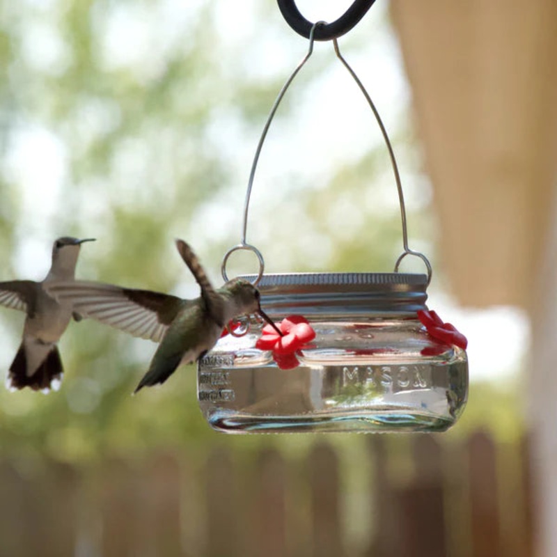 Nature’s Way Mason Jar Hummingbird Feeder