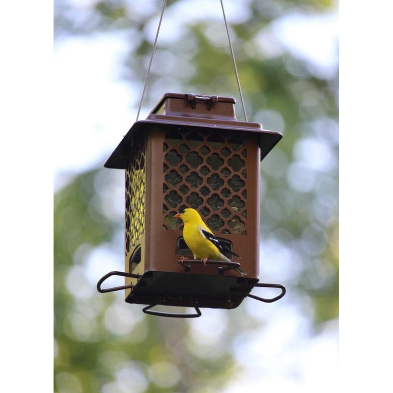 More Birds Bronze Metal Hopper Sunflower Bird Feeder with Push-Button Top, 3.6 lb. capacity