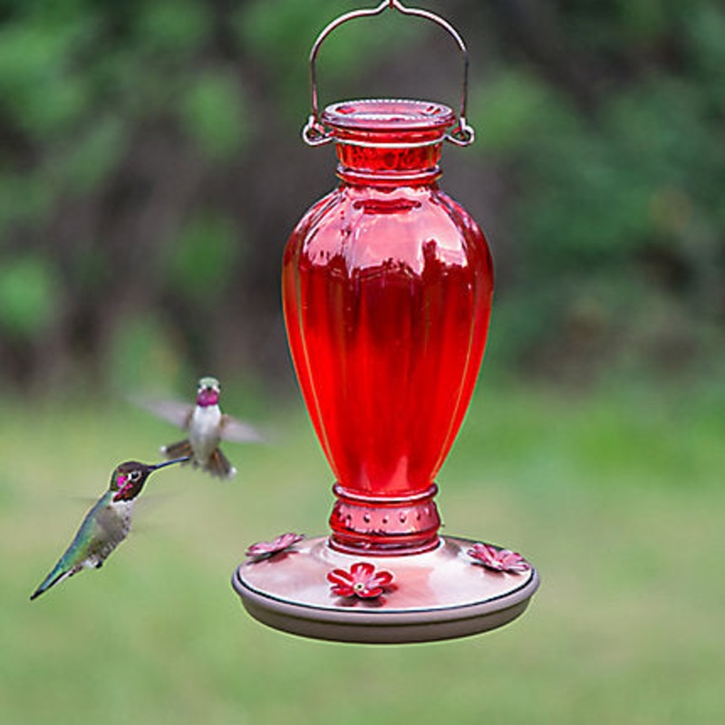 Perky-Pet Daisy Vase Vintage Hummingbird Feeder – 18 oz Nectar Capacity (1-Count)