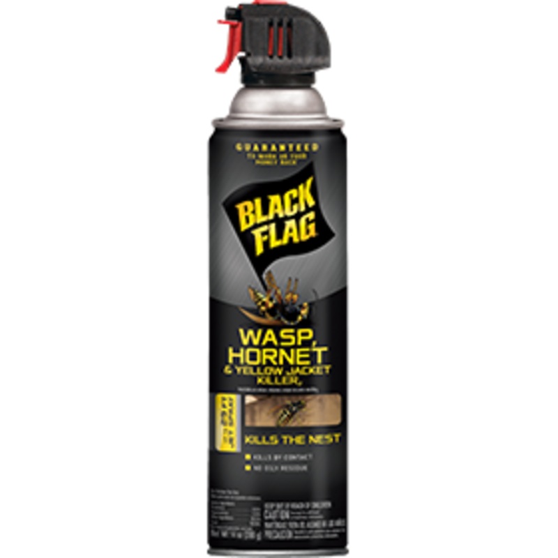 Black Flag Wasp, Hornet & Yellow Jacket Killer2 (Aerosol)