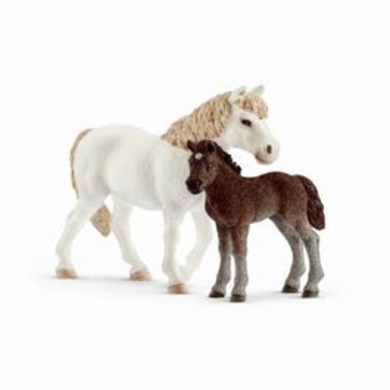 White Pony Mare & Foal