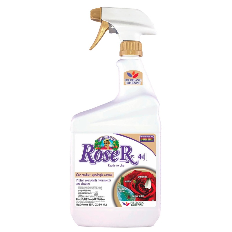 Bonide Captain Jack’s Rose Rx 4-in-1 Ready-To-Use Fungicide, Insecticide