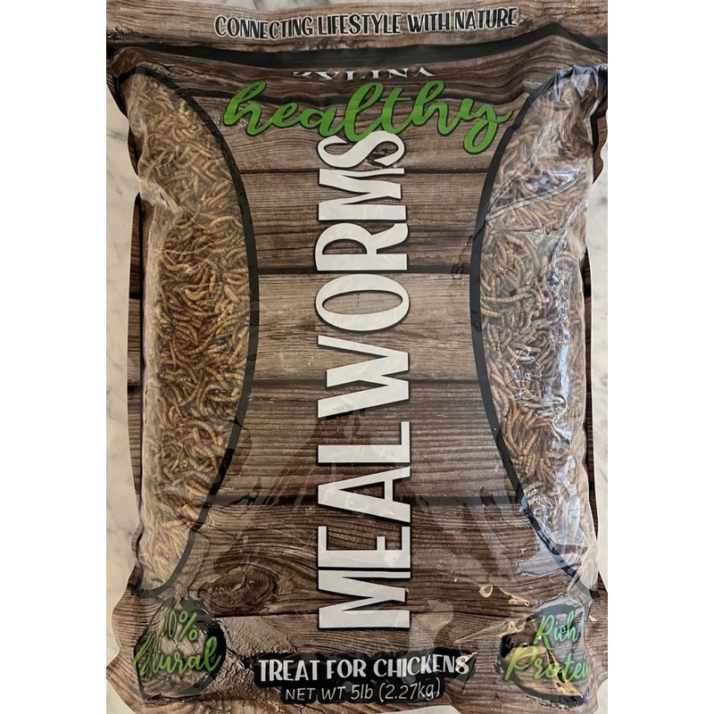 Zylina Healthy Mealworms|5 LB