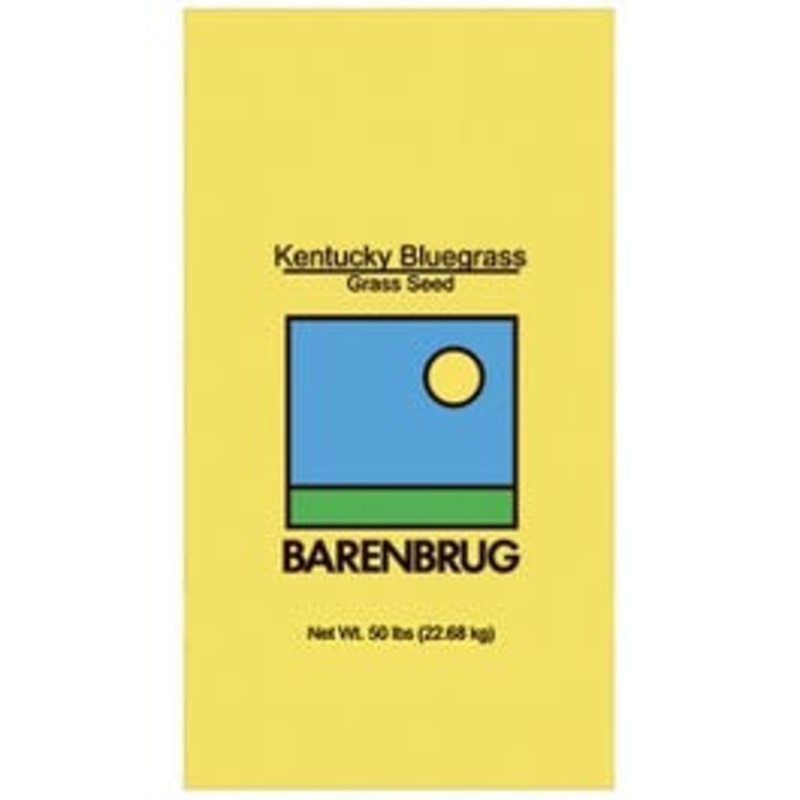 85/80 Kentucky Bluegrass Seed, 50-Lbs.