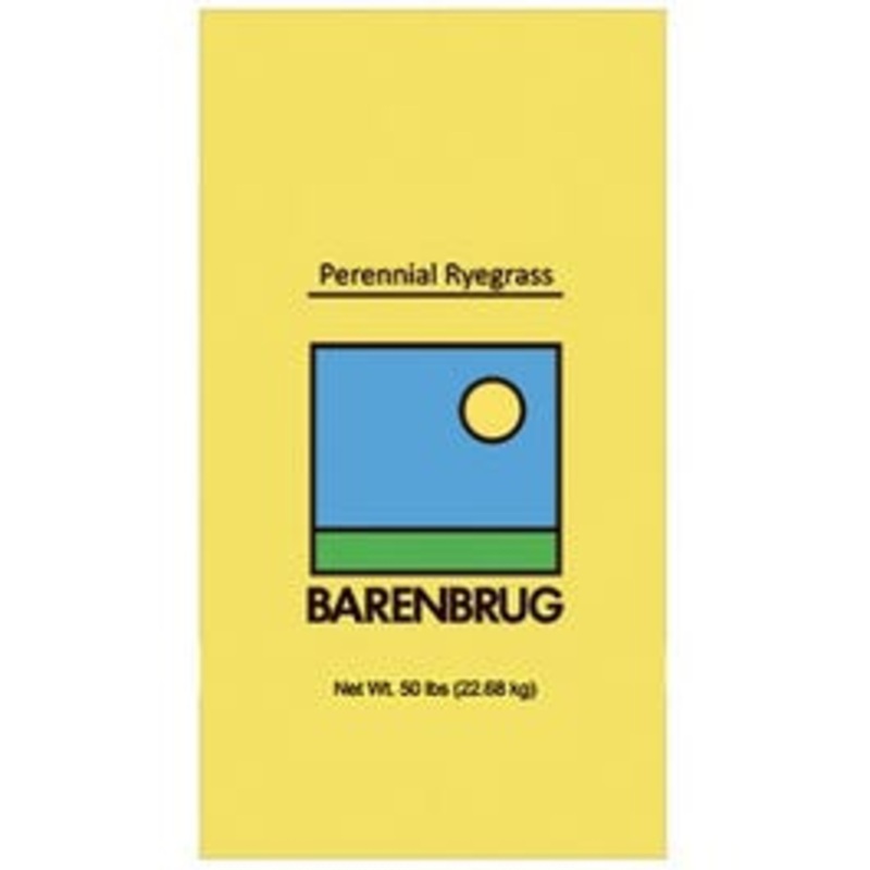 Perennial VNS Ryegrass Seed, 50-Lbs.