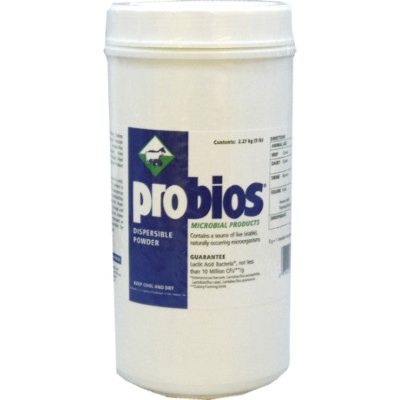 Probios Probiotic Supplement|240 gm