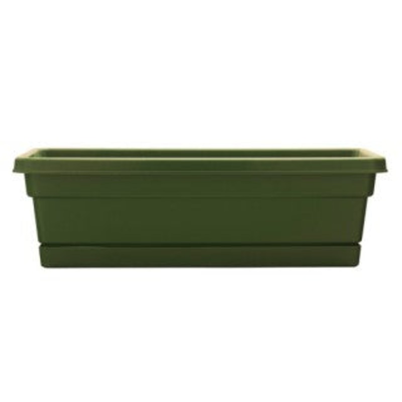 Southern Patio Dynamic Design 24 Rolled Rim Window Box, Fern