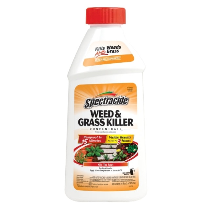 SPECTRUM BRANDS SPECTRACIDE WEED & GRASS KILLER CONCENTRATE
